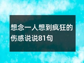 想念一人想到瘋狂的傷感說(shuō)說(shuō)81句