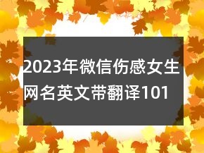 2023年微信傷感女生網(wǎng)名英文帶翻譯101句