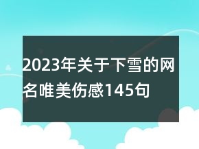 2023年關(guān)于下雪的網(wǎng)名唯美傷感145句