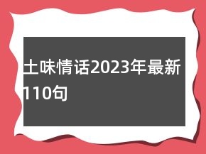 土味情話2023年最新110句