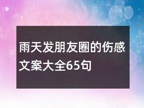 雨天發(fā)朋友圈的傷感文案大全65句