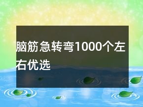 腦筋急轉(zhuǎn)彎1000個左右優(yōu)選