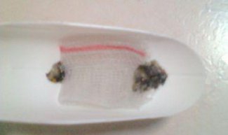 洗發(fā)水瓶DIY自動吸水式吊盆 -  rpnrmr.com