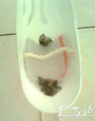 洗發(fā)水瓶DIY自動吸水式吊盆 -  rpnrmr.com