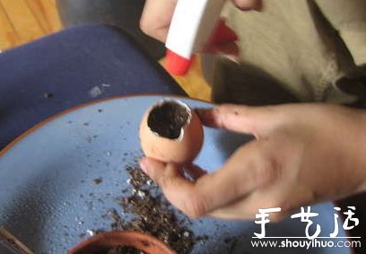 手工DIY蛋殼微盆栽 -  rpnrmr.com