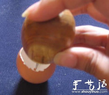 手工DIY蛋殼微盆栽 -  rpnrmr.com