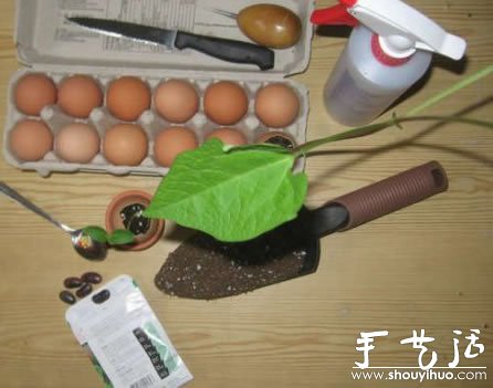手工DIY蛋殼微盆栽 -  rpnrmr.com