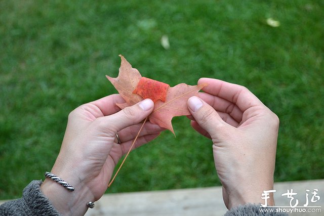 火紅楓葉手工制作的玫瑰 -  rpnrmr.com