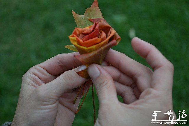火紅楓葉手工制作的玫瑰 -  rpnrmr.com