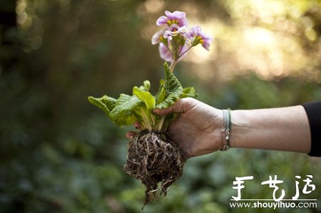 DIY屬于你的空中花園 -  rpnrmr.com