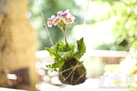 DIY屬于你的空中花園 -  rpnrmr.com
