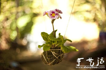DIY屬于你的空中花園 -  rpnrmr.com