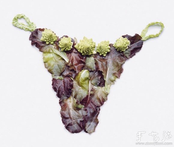 水果和食物DIY的生活用品 -  rpnrmr.com
