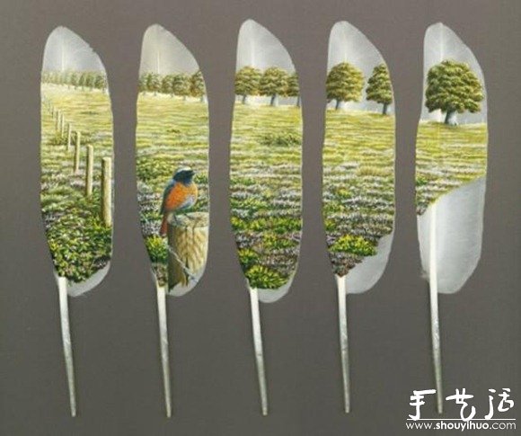 羽毛上的繪畫作品 -  rpnrmr.com