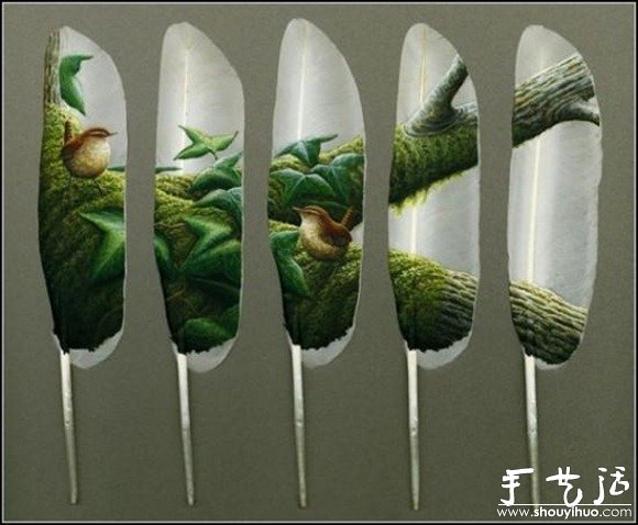 羽毛上的繪畫作品 -  rpnrmr.com