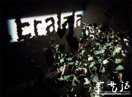 投影不同的字母 -  rpnrmr.com