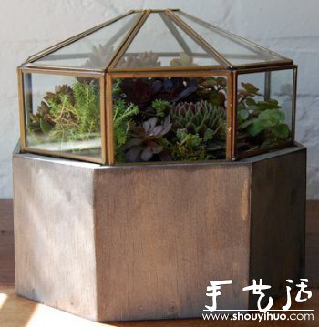 DIY玻璃植物盒 -  rpnrmr.com