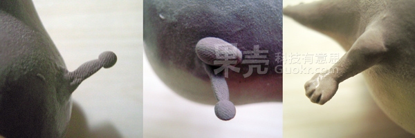黏土手工DIY肥胖版動物世界 -  rpnrmr.com