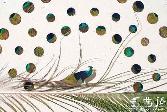 鳥兒羽毛藝術(shù)品手工制作 -  rpnrmr.com