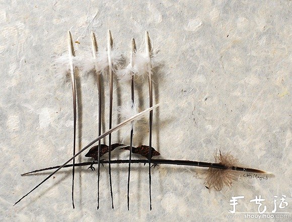 鳥兒羽毛藝術(shù)品手工制作 -  rpnrmr.com