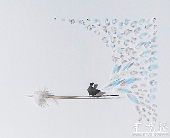 鳥兒羽毛藝術(shù)品手工制作 -  rpnrmr.com