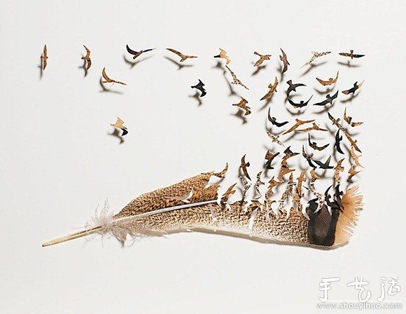 鳥兒羽毛藝術(shù)品手工制作 -  rpnrmr.com