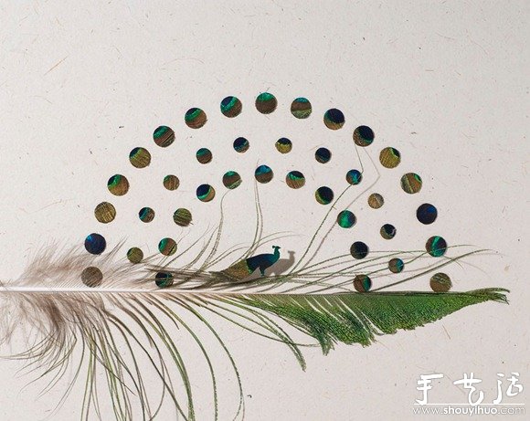 鳥兒羽毛藝術(shù)品手工制作 -  rpnrmr.com