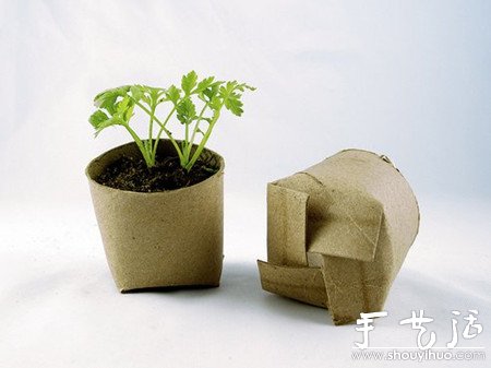 家庭DIY自制可降解的花盆 -  rpnrmr.com
