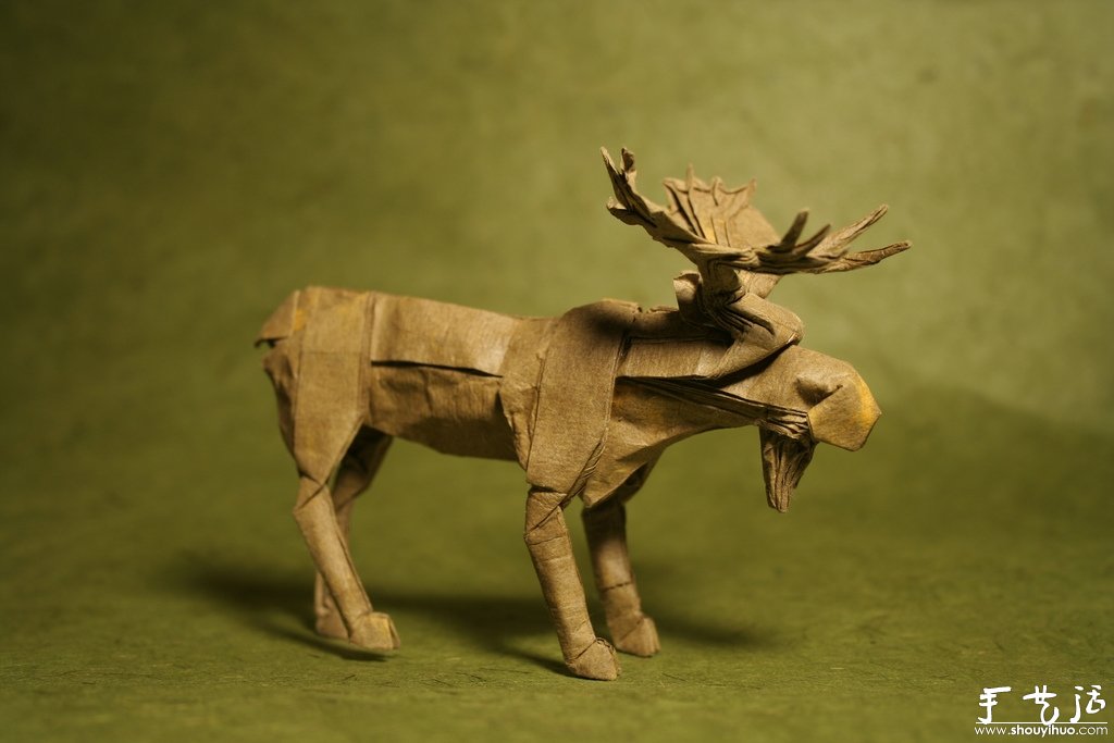 逼真的動物手工折紙作品欣賞 -  rpnrmr.com