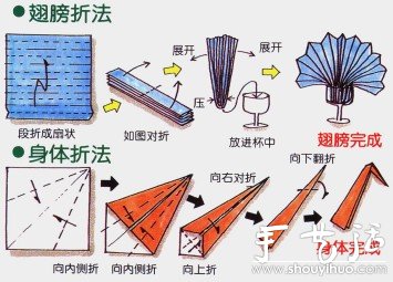 酒杯中的孔雀開屏 -  rpnrmr.com