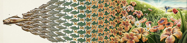 令人眼花繚亂的創(chuàng)意插畫作品 -  rpnrmr.com