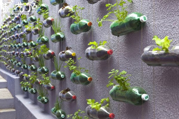DIY墻上的垂直塑料瓶花園 -  rpnrmr.com