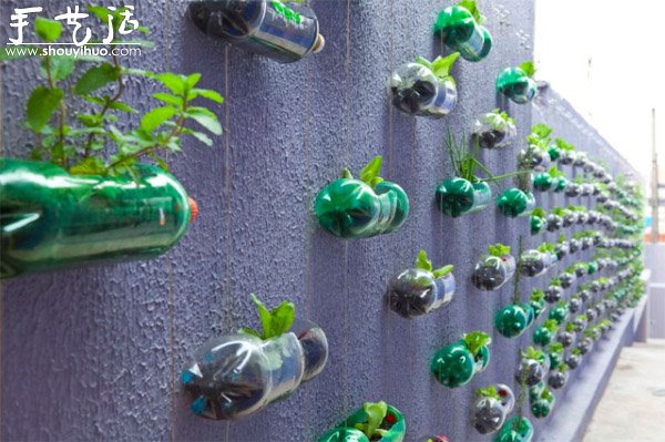 DIY墻上的垂直塑料瓶花園 -  rpnrmr.com