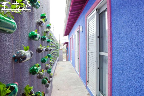 DIY墻上的垂直塑料瓶花園 -  rpnrmr.com