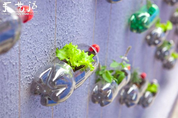 DIY墻上的垂直塑料瓶花園 -  rpnrmr.com