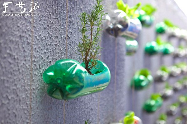 DIY墻上的垂直塑料瓶花園 -  rpnrmr.com