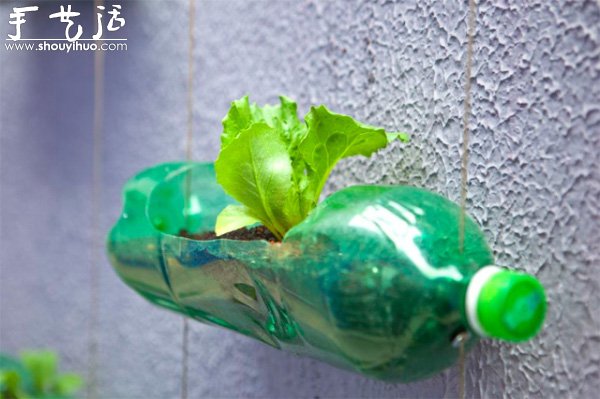 DIY墻上的垂直塑料瓶花園 -  rpnrmr.com
