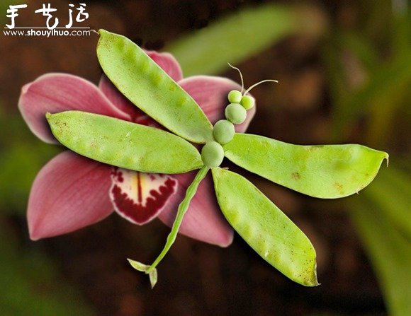 蔬菜DIY的有趣動(dòng)物 -  rpnrmr.com