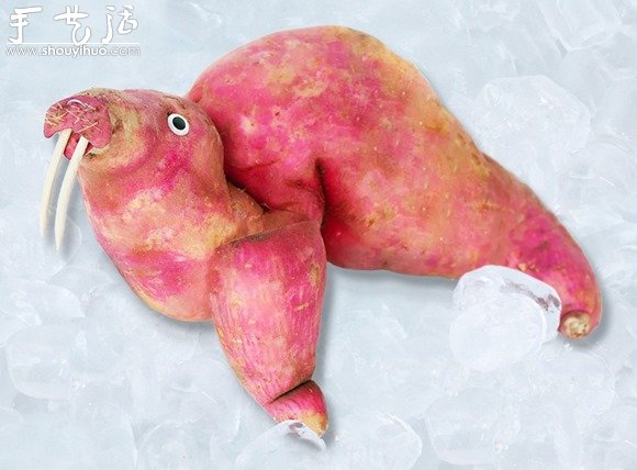 蔬菜DIY的有趣動(dòng)物 -  rpnrmr.com