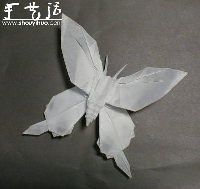 昆蟲折紙作品欣賞 -  rpnrmr.com
