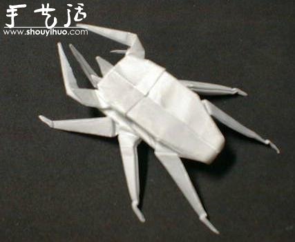 昆蟲折紙作品欣賞 -  rpnrmr.com