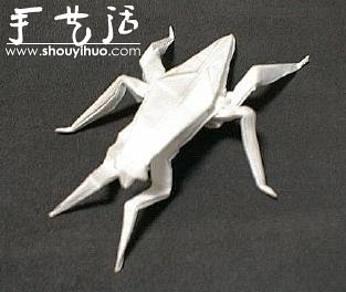 昆蟲折紙作品欣賞 -  rpnrmr.com