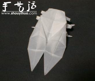 昆蟲折紙作品欣賞 -  rpnrmr.com