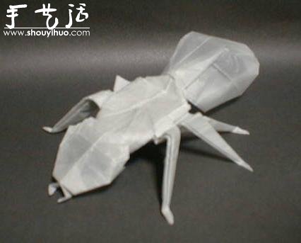 昆蟲折紙作品欣賞 -  rpnrmr.com
