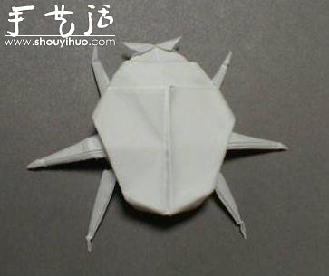 昆蟲折紙作品欣賞 -  rpnrmr.com