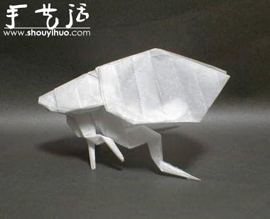 昆蟲折紙作品欣賞 -  rpnrmr.com