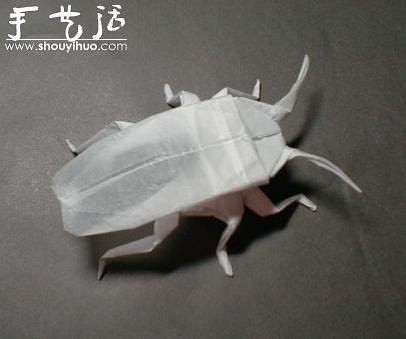 昆蟲折紙作品欣賞 -  rpnrmr.com