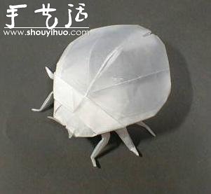昆蟲折紙作品欣賞 -  rpnrmr.com