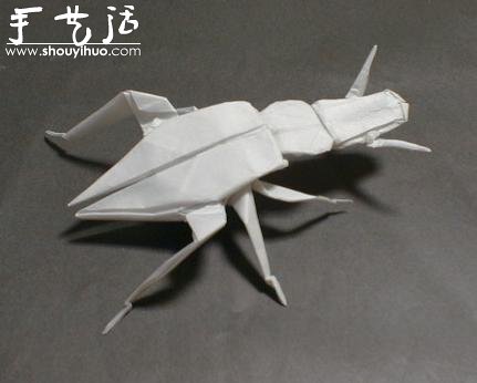 昆蟲折紙作品欣賞 -  rpnrmr.com