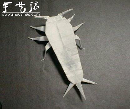 昆蟲折紙作品欣賞 -  rpnrmr.com